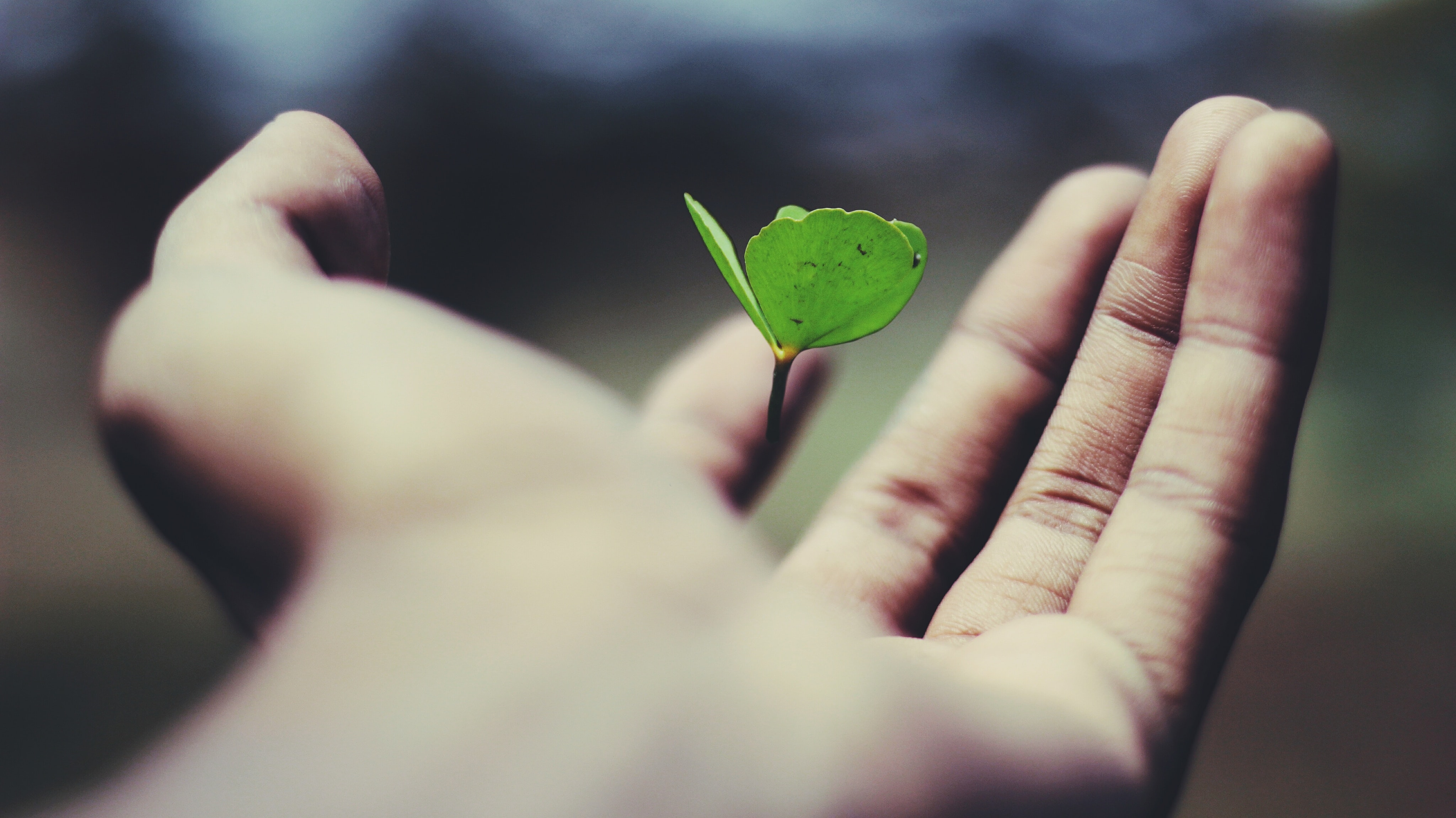 Unlock the Right Mindset to a Fulfilling 2023